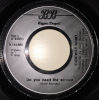 Tubeway Army - Down In The Park NL 7-inch single side B v2